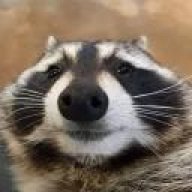 42424421242
