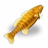GoldenFish